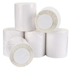 6 Rolls 4″x6″ Direct Thermal Shipping Labels 250/Roll for Zebra LP2844 ZP450