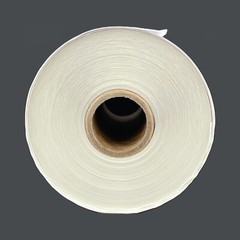 4×6 Direct Thermal Rolls Shipping Labels Rolls Zebra 2844 zp450 Eltron Zp 450