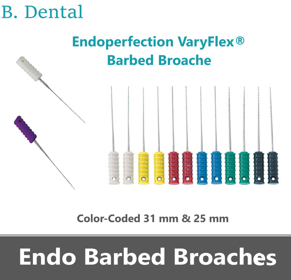 Dental Endo Barbed Broaches Endodontic Endoperfection – Color-Coded, 10/Pk USA