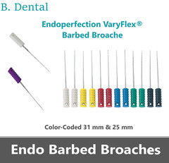 Dental Endo Barbed Broaches Endodontic Endoperfection – Color-Coded, 10/Pk USA