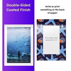 Dull 80lb Text Digital Low Gloss Paper, C2S, 11 x 17, 100 Sheets