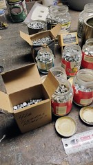 50 POUNDS OF ASSORTED TINNERS RIVETS AND OTHERS. TAKE THEM ALL.