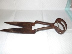 Vintage Hercules Hand Held Sheep Shears Great Shape with Label.