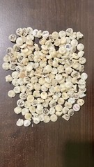 Ivoclar E-max small ingots HT 150 grams pressed ones assorted shades