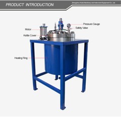 Lab 10L-100L High Pressure Hydrothermal Autoclave Reactor with Lifting Device