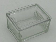Vtg T.C. W. Co Glass Slide Staining Dish/Box w/Lid Holds 10 Horizontal Slides