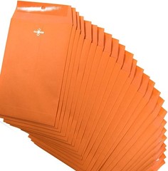 Clasp Envelopes, Gummed and Clasped Closure, 6 x 9 Inches, Brown Kraft, 25 En…