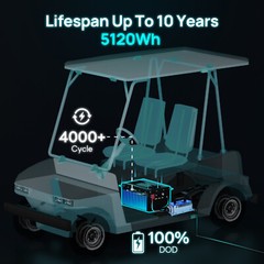 48V 100Ah LiFePO4 Golf Cart Battery 18A Charger Bluetooth Monitor Metal Case