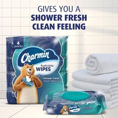 FLUSHABLE SOFT CLEANSING WIPES Bathroom Gentle Clean Personal Hygiene Use 4 Pack