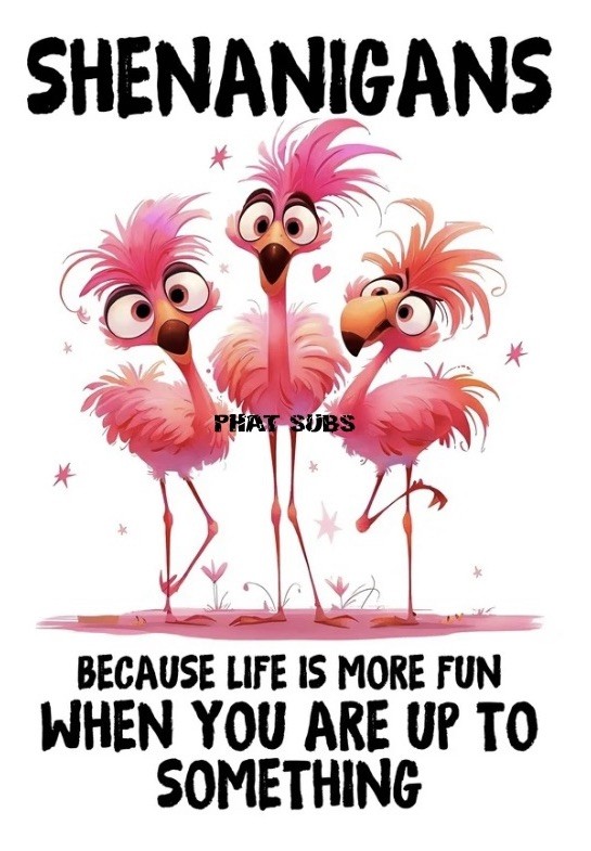 Sublimation Print Shenanigans Flamingos Ready To Press Heat Transfer