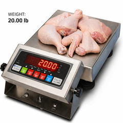 Prime Scales 9″x9″ Bench Scale 20lb x 0.005 lb Stainless Steel Washdown NEW
