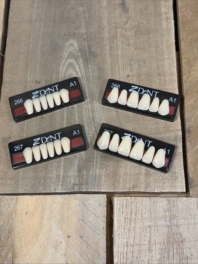 Z dent Synthetic Polymer False Teeth 2 Sets of 12 for 24 Total Size 266 267 A1