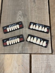 Z dent Synthetic Polymer False Teeth 2 Sets of 12 for 24 Total Size 266 267 A1
