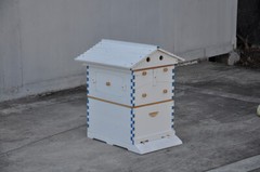 7PCS Automatic Honey Beehive Frames + White Painted Beehive House wooden Box New