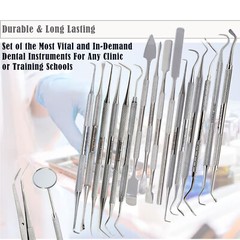 GERMAN 24x Dental Tools Set Dentist Teeth Clean Plaque&tarter Remove Probe Picks