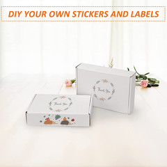 9X6X2 Inches Shipping Boxes Set of 25, White Corrugated Cardboard Box Literature