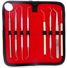 Dental Tools Set Dentist Teeth Kit Oral Clean Probe Stainless Steel Picks GERMAN