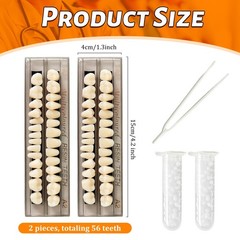 56 Pieces False Teeth, 2 Sets Whole Teeth Synthetic Polymer Denture Teeth,…