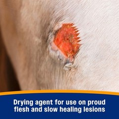 Farnam Wonder Dust Wound Powder for Horses and Show Stock, 4 Ounces 4 Ounce