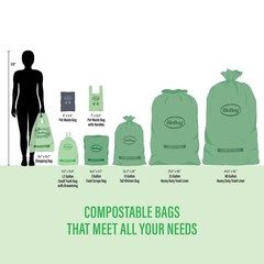 Biobag Usa 100 Certified Compostable Shopping Bags 20 Lb Capacity 10 Gallon 500