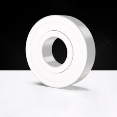 ZrO2 Zirconia Full Ceramic Ball Bearing Double Sealed 2RS Resistant Corrosion