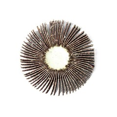 10 3″x 1″x1/4″ Premium Flap Wheels A/O Sanding Disc 40 Grit