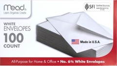 Lightweight 100 Pack of White Security Envelopes 6-3/4 Inch for Everyday Mailing