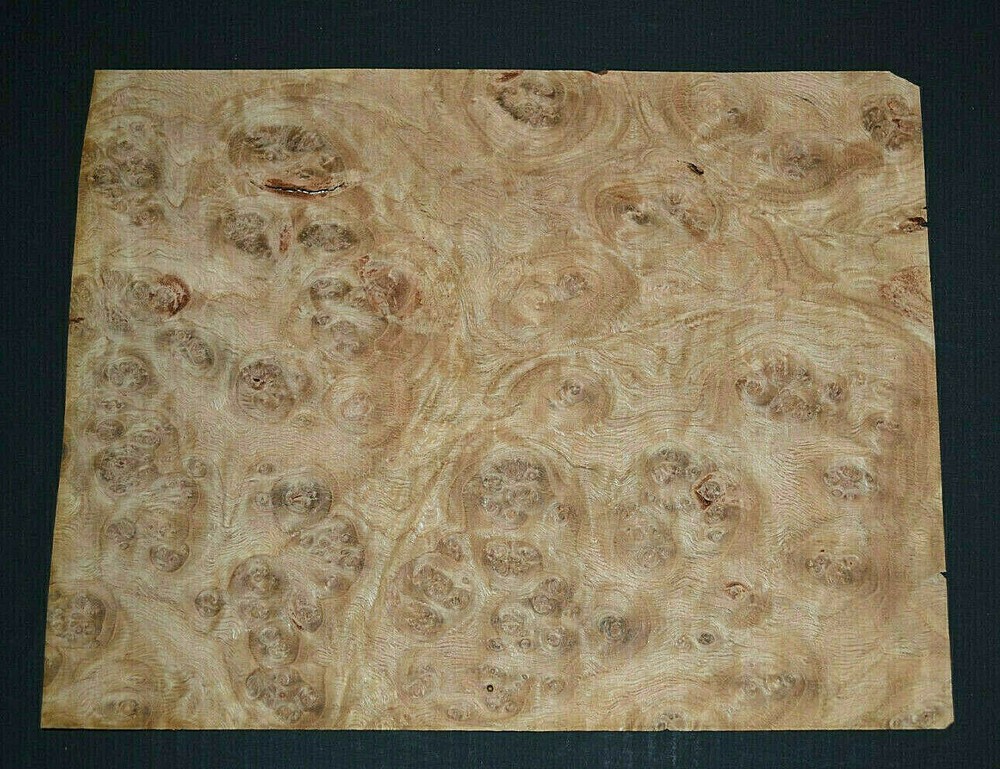 Oak Burl Raw Wood Veneer Sheet 7.5 x 10 inches 1/42nd 7685-50