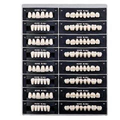 8 Type Dental Acrylic Resin Denture False Teeth Upper Lower Full Set A1/A2/A3