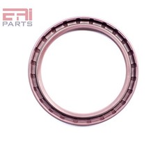 EAI 75x95x10mm FPM/FKM Oil Shaft Rotary Seal w/ Stainless Steel Spring Dbl Lip