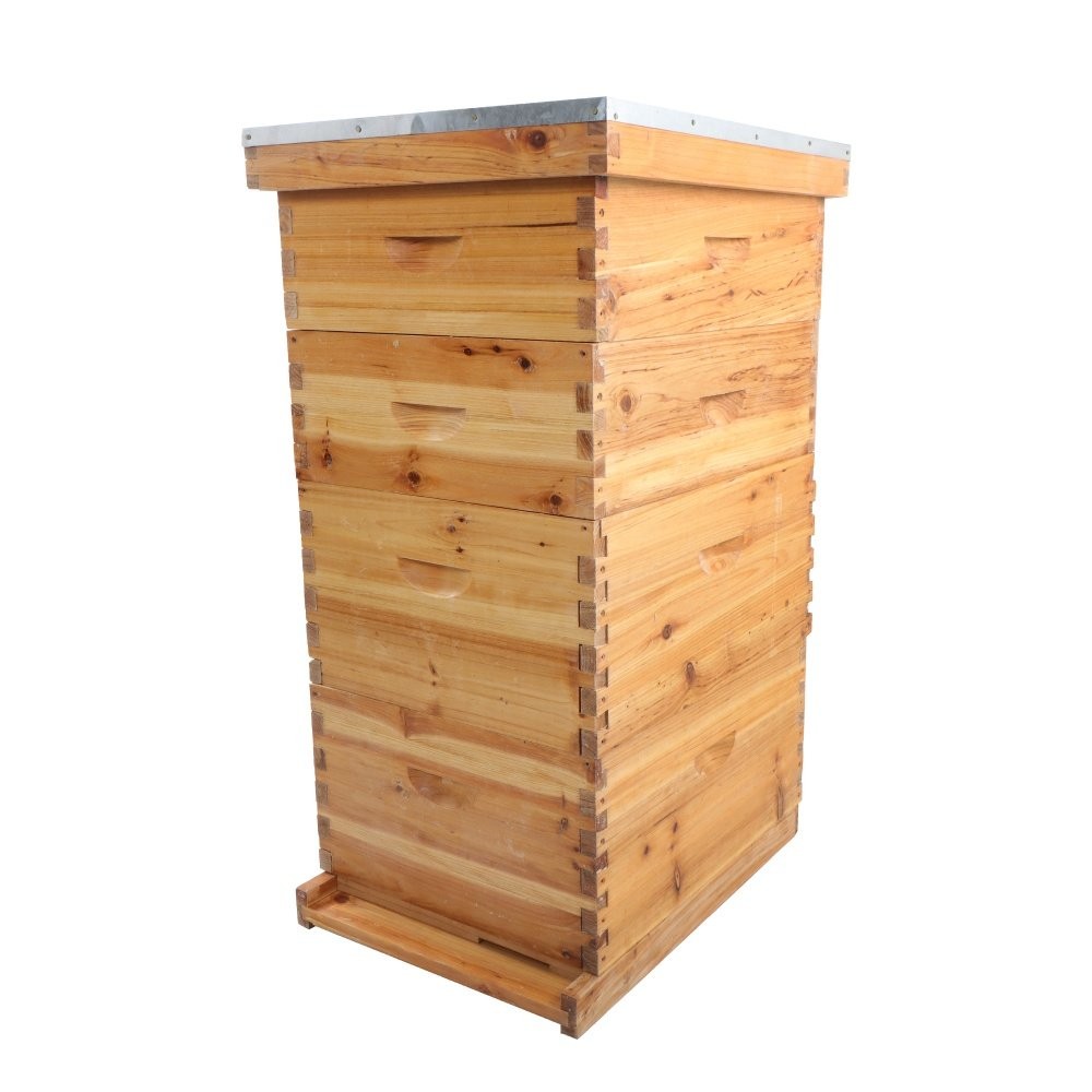Beeswax Coated 4 Layer 10 Frame Bee Hive Includes Beehive Frames and Foundations