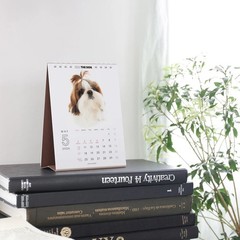 THE DOG Desk Calendar 2026 [All Star] W 130 x H 218mm Made in Japan Free Ship