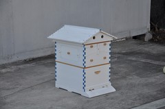 2026 White Wooden Auto Bee Hives Cedarwood + 7PCS Beekeeping Honey Hive Frames