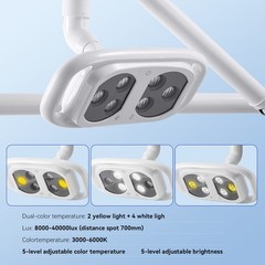 10 X Dental Orthodontic Brackets Braces Mini Roth Slot 022 345 Hook 200PCS