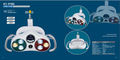 Dental LED Oral Light Operating Lamp SONY Sensor 20 Million HD Camera Recording