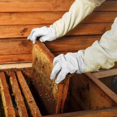 Hive Beekeeping Suit Beekeeping Bee Protective Clothing Beekeeping Suit XXL