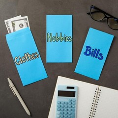 Okuna Outpost Money Envelopes – 3.5 x 6.5 in, Blue, 100-Pack, 3.5×6.5, blue