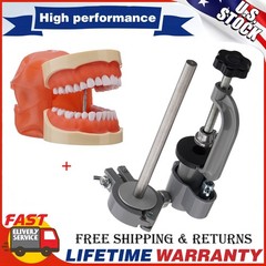 Kilgore Nissin 200 Type Dental Typodont Model+32pc Removable Teeth Mounting Pole