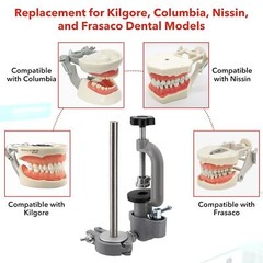 New Dental Simulator Mannequin Head Teeth Model Typodont Model &Teeth Mount Pole
