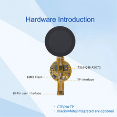 1.6 Inch 400*400 Pixels Resolution 262K Colors COF Structure IPS TFT LCD Display