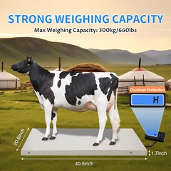 Portable Digital Livestock Vet Scale Hog Pet Dog Sheep Goat Scale 300kg 0.1kg