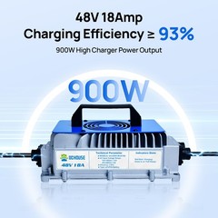 DCHOUSE 48V 100Ah Golf Cart Battery + 48V 18A Charger Trolling Motor RV