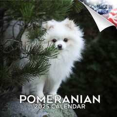 Pomeranian Dog Breed Calendar 2025 FULL SIZE 12×24 Made in USA