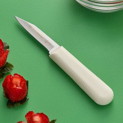 Dexter-Russel Sani-Safe 3 1/4″ Clip Point Paring Knife (select style)