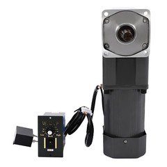 AC Gear Motor Speed Reduction Ratio 1:30 High Torque Speed Reduction Motor 45RPM