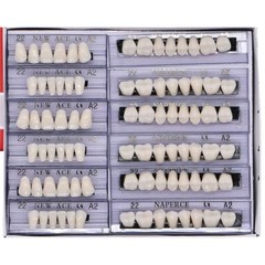 168Pcs Acrylic Resin Denture #22 Dental Upper Lower Shade A2 Teeth Set HOT