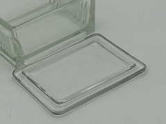 Vtg T.C. W. Co Glass Slide Staining Dish/Box w/Lid Holds 10 Horizontal Slides