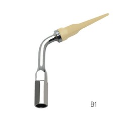 Ultrasonic Dental Scaler Tip Cleaning Implant Dental Orthodontic Teeth Dentures