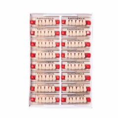 Denture Acrylic Resin Full Set/Anterior/Posterior Teeth Upper Lower Dental Shade