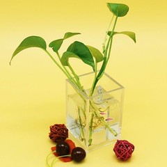 2 Pack Clear Acrylic Pencil Pen Holder Cup,Desk Accessories